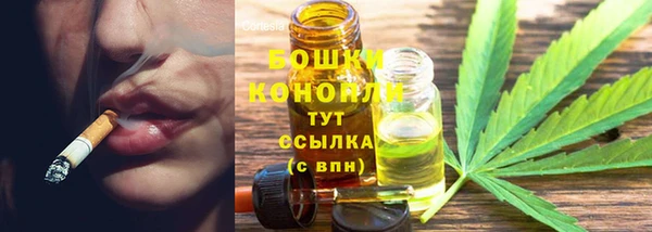 тгк Козельск