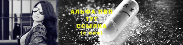 трава Корсаков