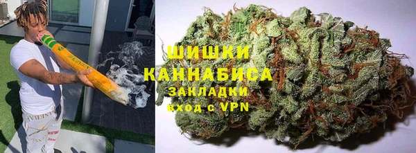 трава Корсаков