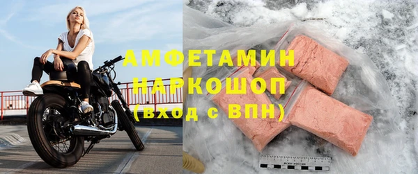 трава Корсаков