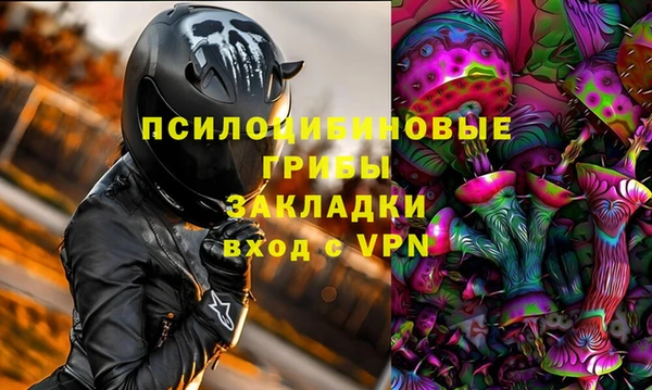 трава Корсаков