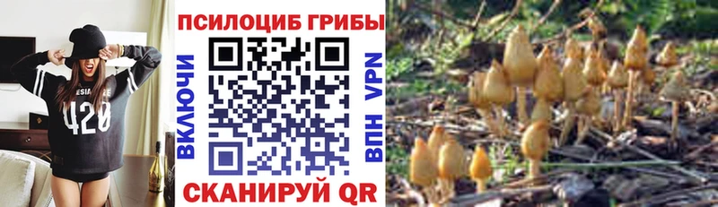 Купить закладки  Минеральные Воды  Галлюциногенные грибы прущие грибы 